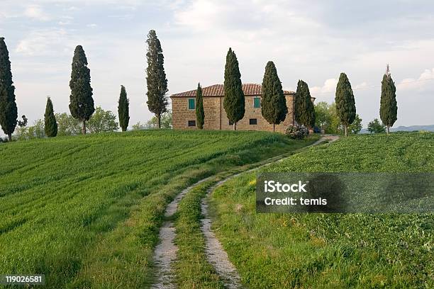 トスカーナの風景 - イタリアのストックフォトや画像を多数ご用意 - イタリア, イトスギ, カラー画像
