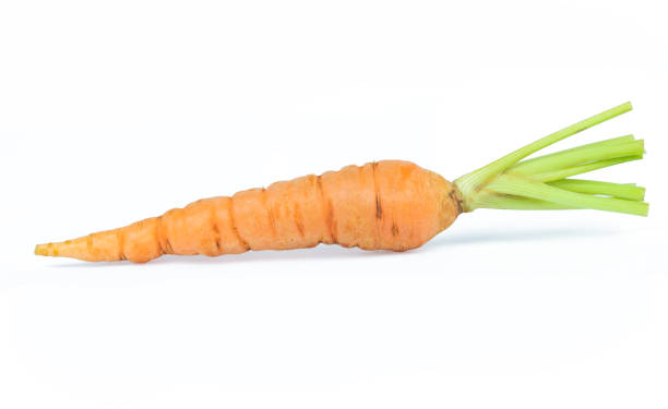 fresh baby carrot isolated on white background with clipping path - carrot isolated white carotene imagens e fotografias de stock