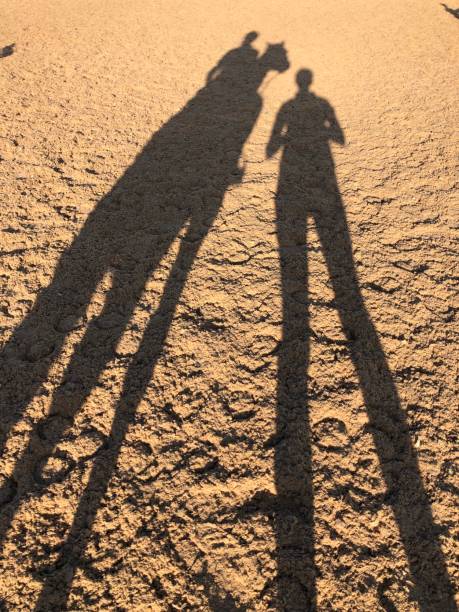 istock Horse, RIder & Trainer Shadow Photo 1190269078