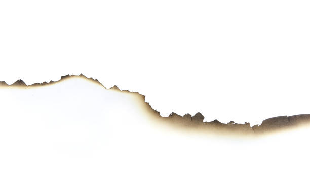 istock Paper burned old grunge on white background with clipping path 1190271342