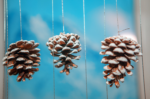 Cones Christmas decoration on blue background