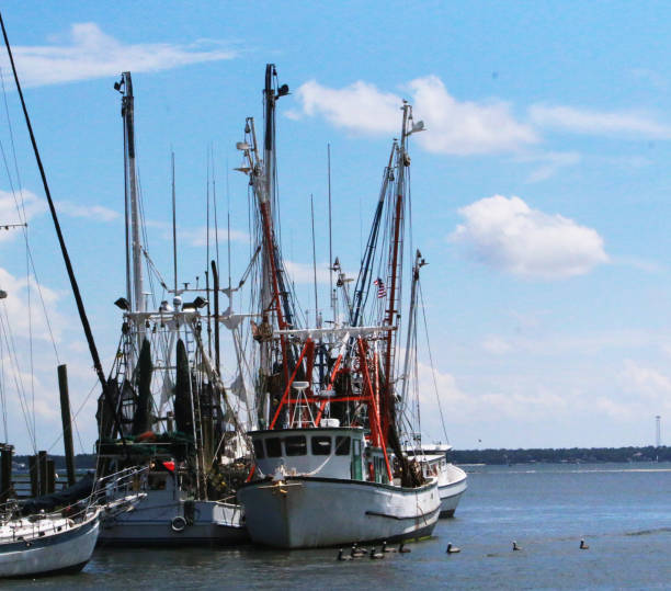 istock Shrimp Boats 1190278684