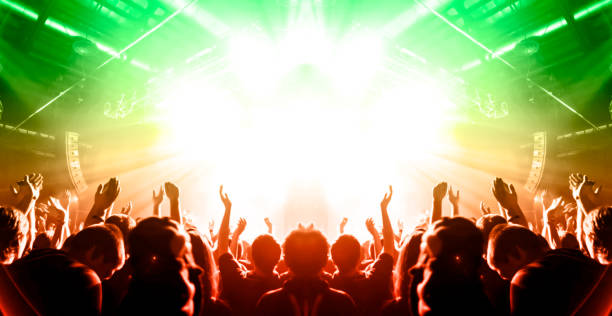 istock Music festival crowd 1190278699