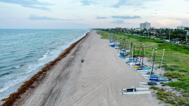 sailboats from above aerial beach sailboats on sand natural outdoor delray beach fl stock pictures, royalty-free photos & images