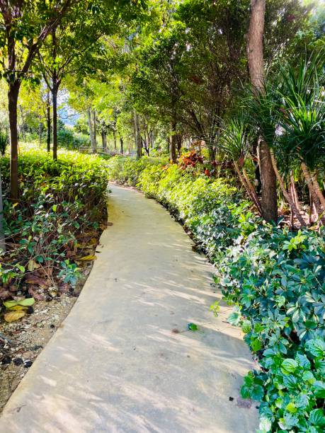istock Footpath in a Park with Trees and Plants 1190284270
