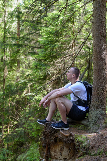 istock Man with a backpack sitting in a coniferous forest on a cliff. Vertical frame 1190285876