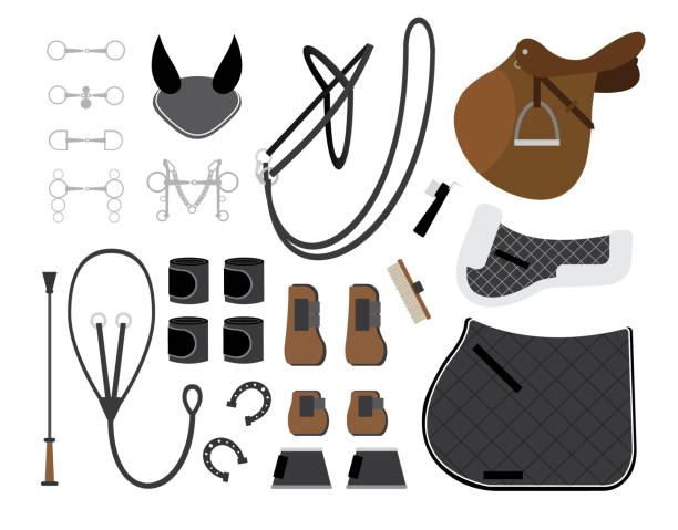 ilustrações, clipart, desenhos animados e ícones de jogo liso do desenho animado do vetor da aderência do cavalo e do equipamento da engrenagem para montar e mostrar o salto - leather harness