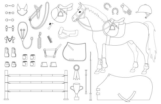 ilustrações de stock, clip art, desenhos animados e ícones de vector flat outline set of horse riding equestrian sport equipment - saddle blanket