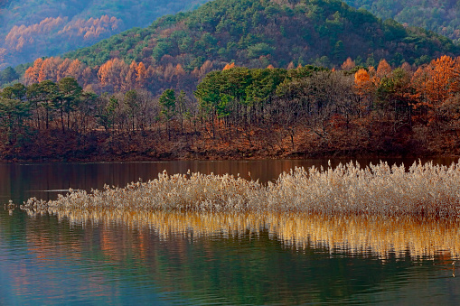 Autumn river scenery