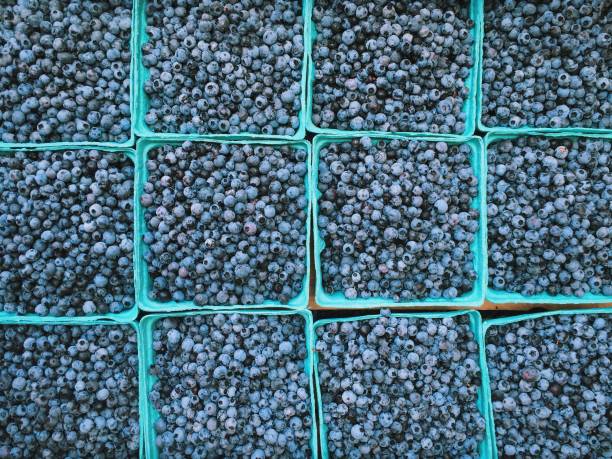 istock Wild Maine Blueberries 1190297456