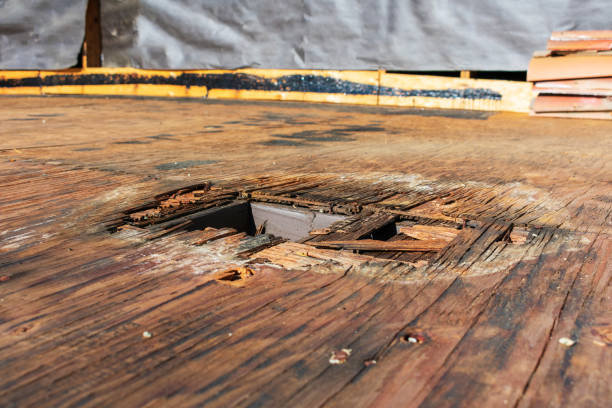 istock Plywood decking damage and water stains from rain water 1190298366