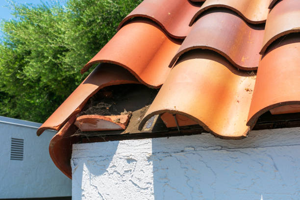 istock Broken clay roof tile. 1190298370