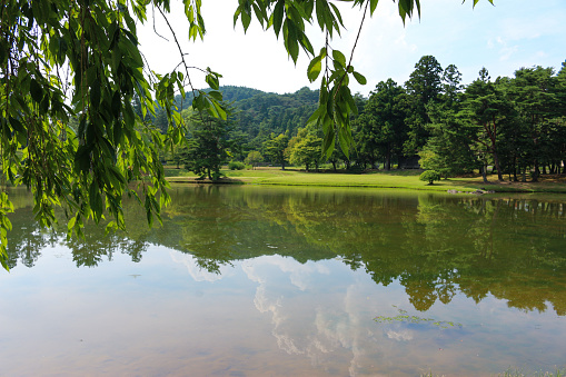 The Ruins of Kanjizaio-in( Kanjizaiō-in Ato  観自在王院跡 ) is a site of historical buildings and has been registered as a world heritage site of Hiraizumi. Currently, it is open all day and is a square as free that anyone can visit anytime.