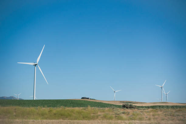 istock Group of Windmills on Landscape 1190299984