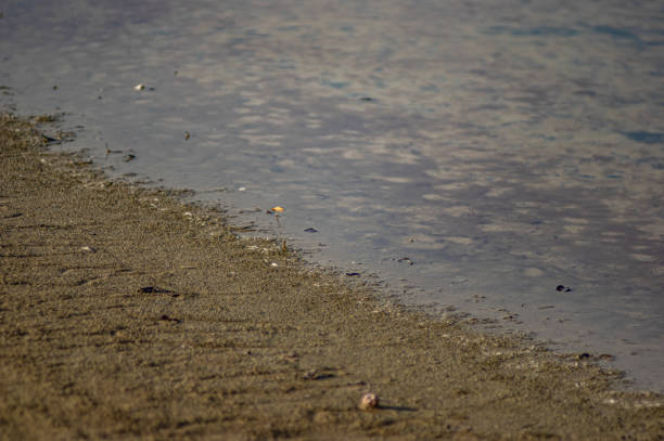 istock Liquid Toxic Waste Storage Lake 1190304358