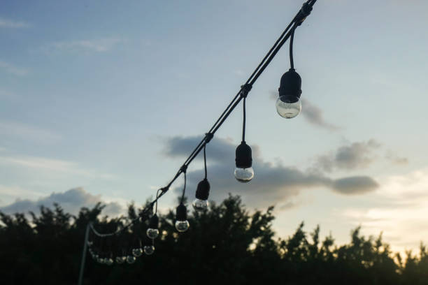 istock selective focus light bulb in the garden in the sunset for lighting 1190305405