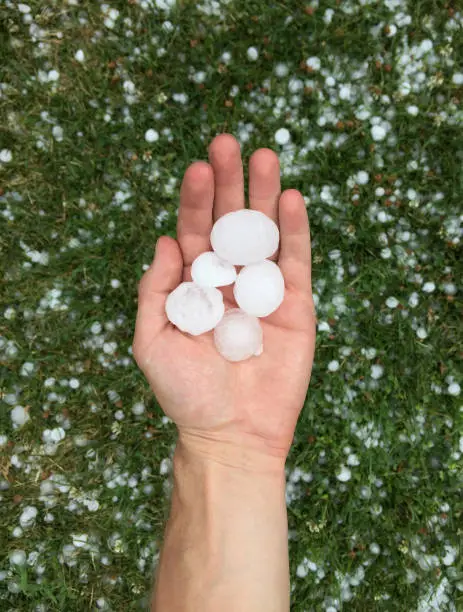 Photo of Hand Holding Hailstones