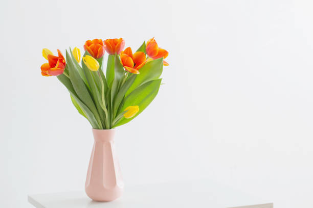 istock tulips in vase on white background 1190309930