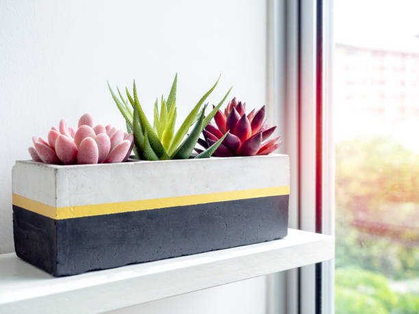 istock Cactus pot. Concrete pot. Modern geometric concrete planter. 1190312171