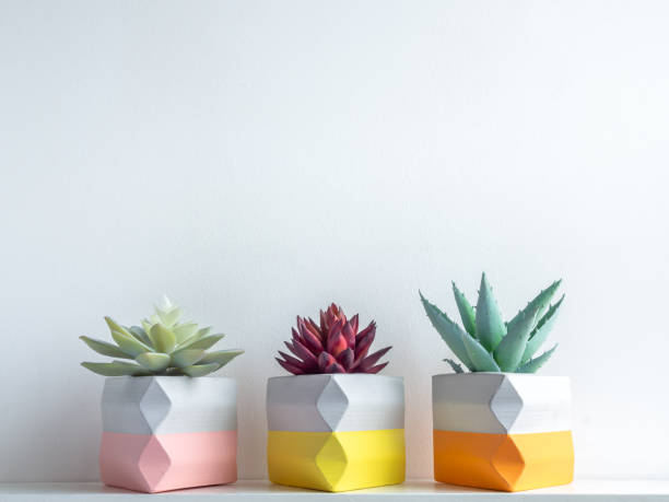 istock Cactus pot. Concrete pot. Modern geometric concrete planter. 1190312194