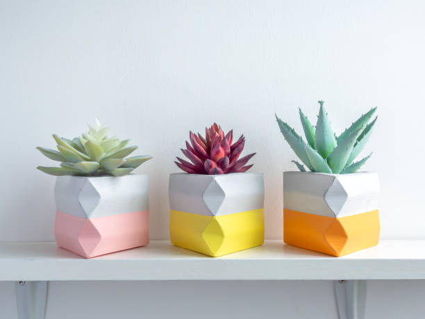 istock Cactus pot. Concrete pot. Modern geometric concrete planter. 1190312199