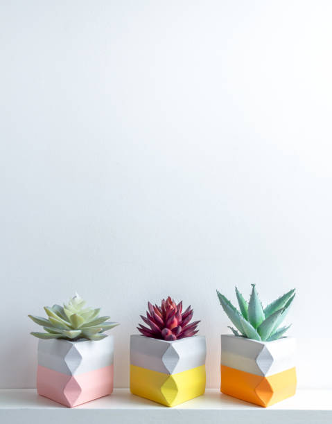 istock Cactus pot. Concrete pot. Modern geometric concrete planter. 1190312201
