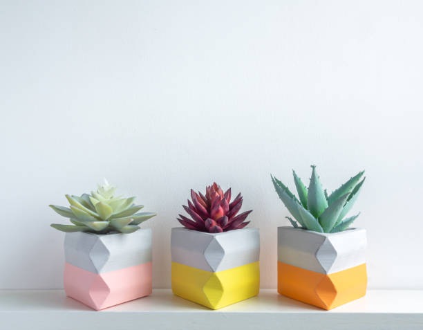 Cactus pot. Concrete pot. Modern geometric concrete planter.