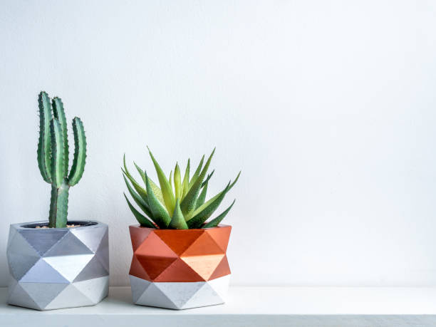 istock Cactus pot. Concrete pot. Modern geometric concrete planter. 1190312758