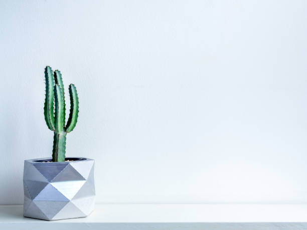 istock Cactus pot. Concrete pot. Modern geometric concrete planter. 1190312789