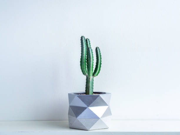 istock Cactus pot. Concrete pot. Modern geometric concrete planter. 1190313308