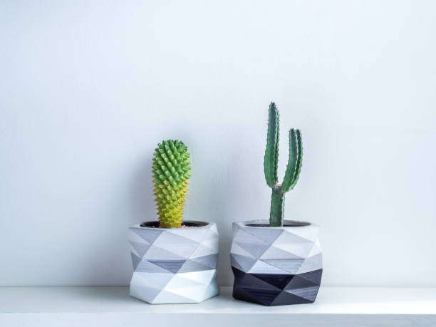 istock Cactus pot. Concrete pot. Modern geometric concrete planter. 1190313321