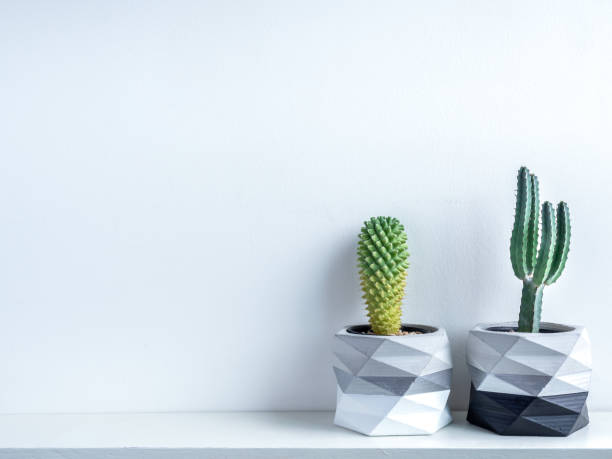 istock Cactus pot. Concrete pot. Modern geometric concrete planter. 1190313331