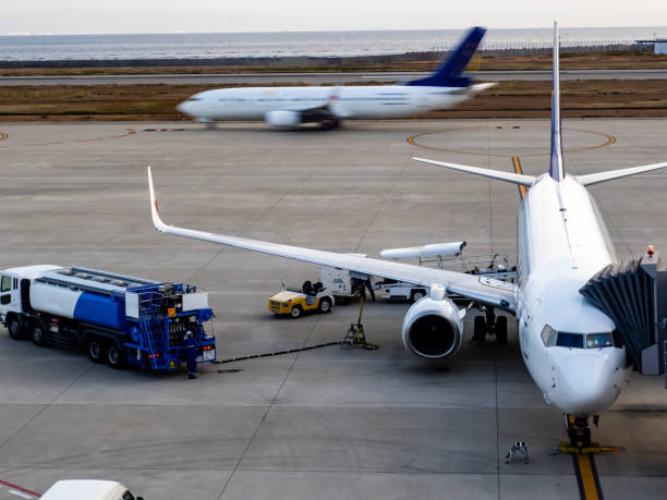 Camera : OLYMPUS OM-D E-M1X DIGITAL CAMERA\nLens : M.ZUIKO Digital 40-150 F2.8\nWhen : 26/Nov./2018\nWhere : Kobe AirPort