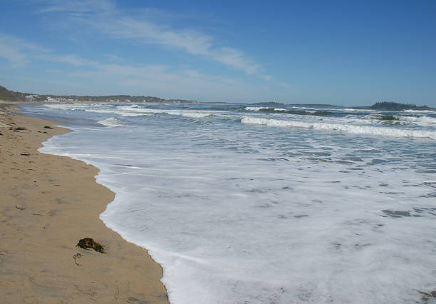 Turbulent ocean waves breaking along the Pacific coast under a cloudy sky, as a storm passes through the area.Taken in Davenport, California, USA