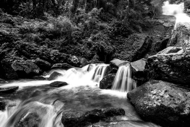 istock The Motion In Monochrome 1190323677
