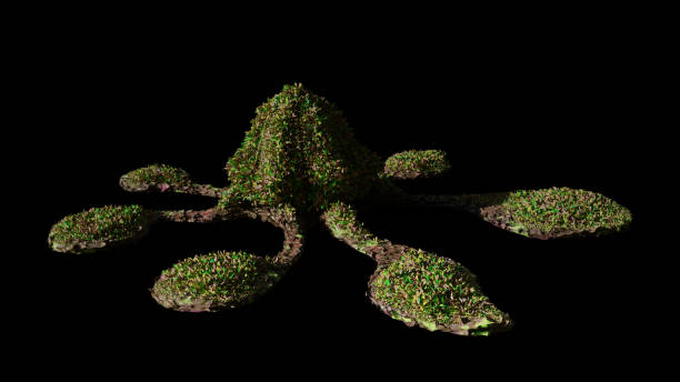 istock alien plant, extraterrestrial world flora isolated on black background 1190324635