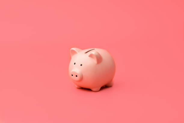 pink piggy bank stands in the center on a pink background. horizontal photography - mealheiro imagens e fotografias de stock