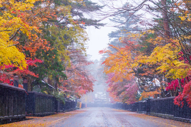 winter scene in japan
