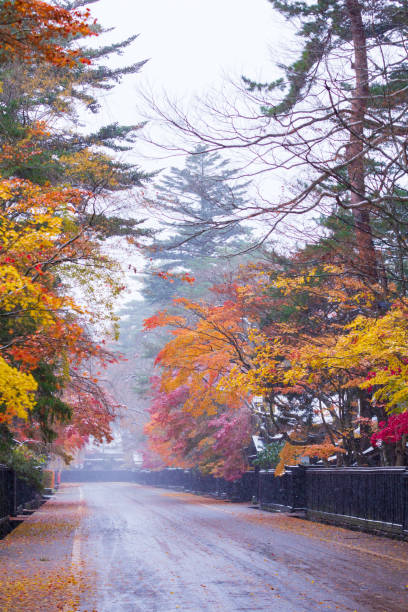 winter scene in japan