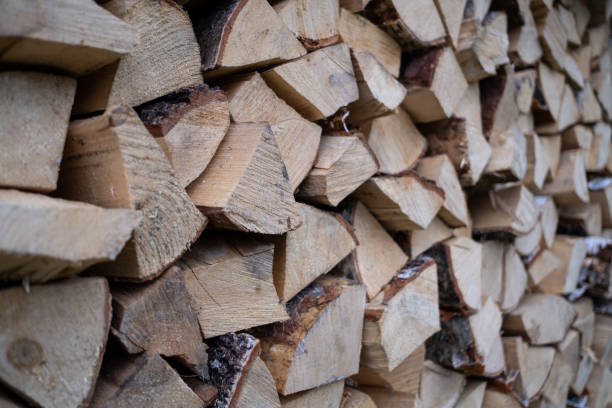 istock Woodpile with fireplace wood stacked 1190330101