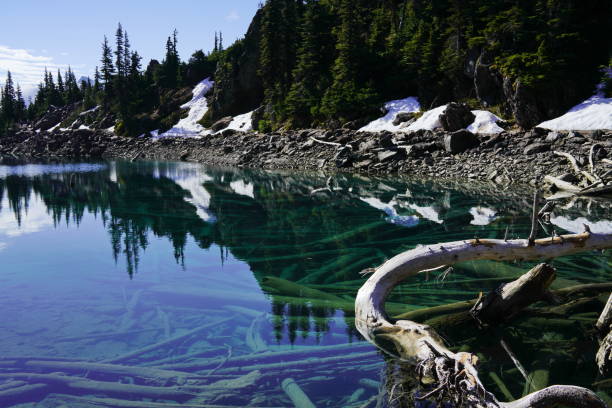 istock Turquoise coloured lake, clear water with tree trunks in the lake 1190331985