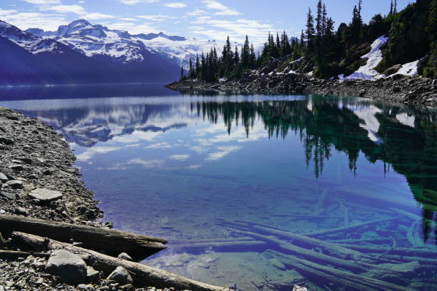 istock Turquoise coloured lake, clear water with tree trunks in the lake 1190332049