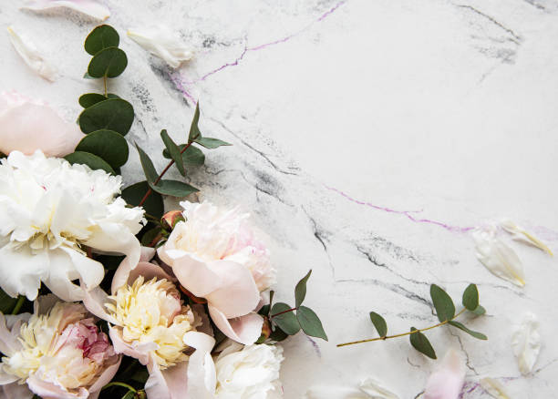 istock Background with pink peonies 1190333277