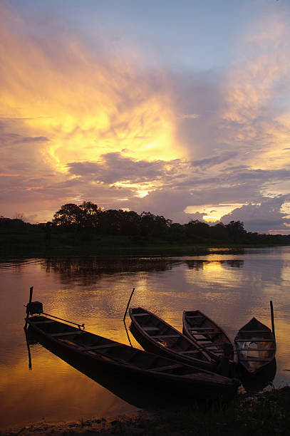 coucher de soleil sur le fleuve amazone - rainforest brazil amazon river amazon rainforest photos et images de collection