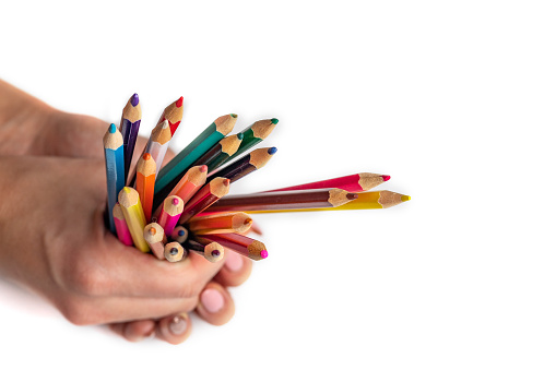 bunch of colored pencils in hand. A woman's hand holds a set of colored pencils on a white background