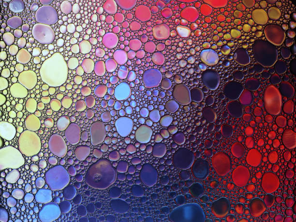 istock Abstract multicolor water oil soap bubbles mixed texture 1190333525