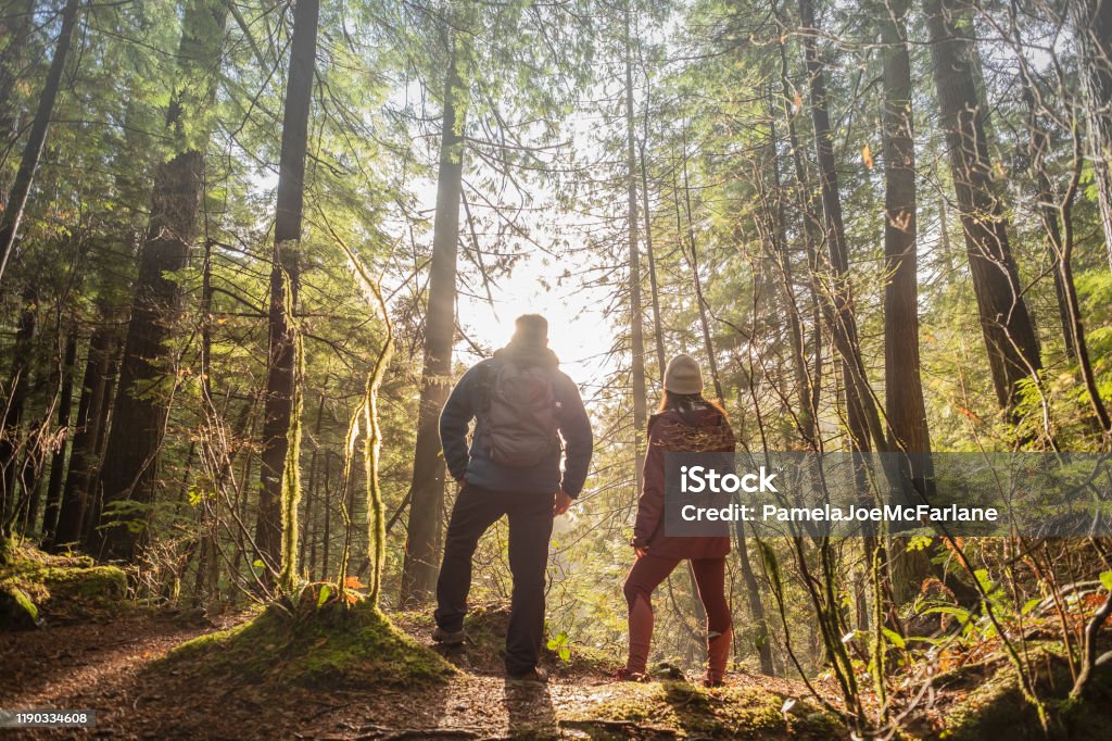 Randonneurs d'homme et de femme appréciant la vue par des arbres dans la forêt - Photo de Forest Bathing libre de droits