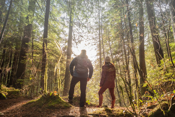 นักปีนเขาชายแล��ะหญิงเพลิดเพลินกับวิวผ่านต้นไม้ในป่า - forest bathing ภาพสต็อก ภาพถ่ายและรูปภาพปลอดค่าลิขสิทธิ์