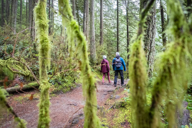 istock Woman and Man Walking Through Mossy and Lichen Covered Forest 1190334645