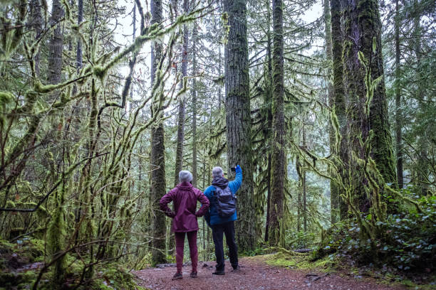 istock Man and Woman Taking Selfie While Hiking in Autumn Forest 1190334664